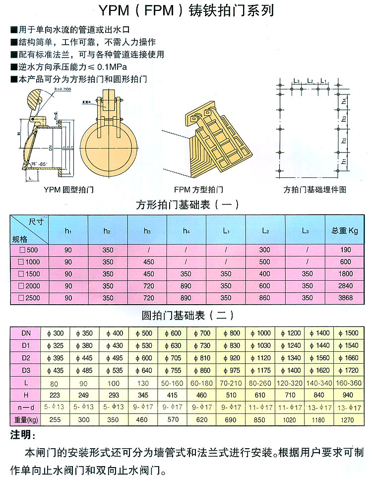 �T�F�A���T